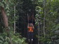 Tn DSC 4130